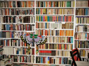 Anneberth Lux - Book Shelf